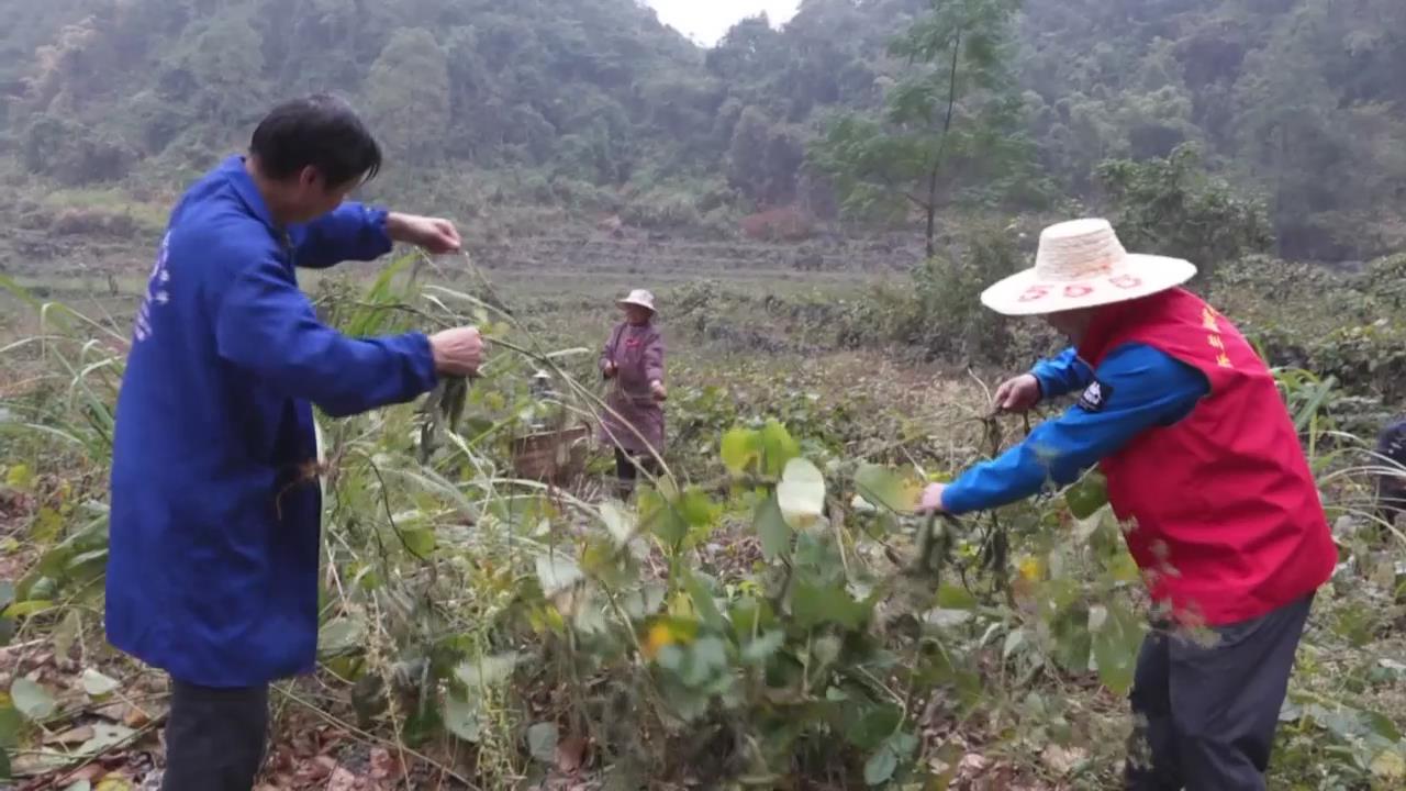 ������壺è������� �������æ