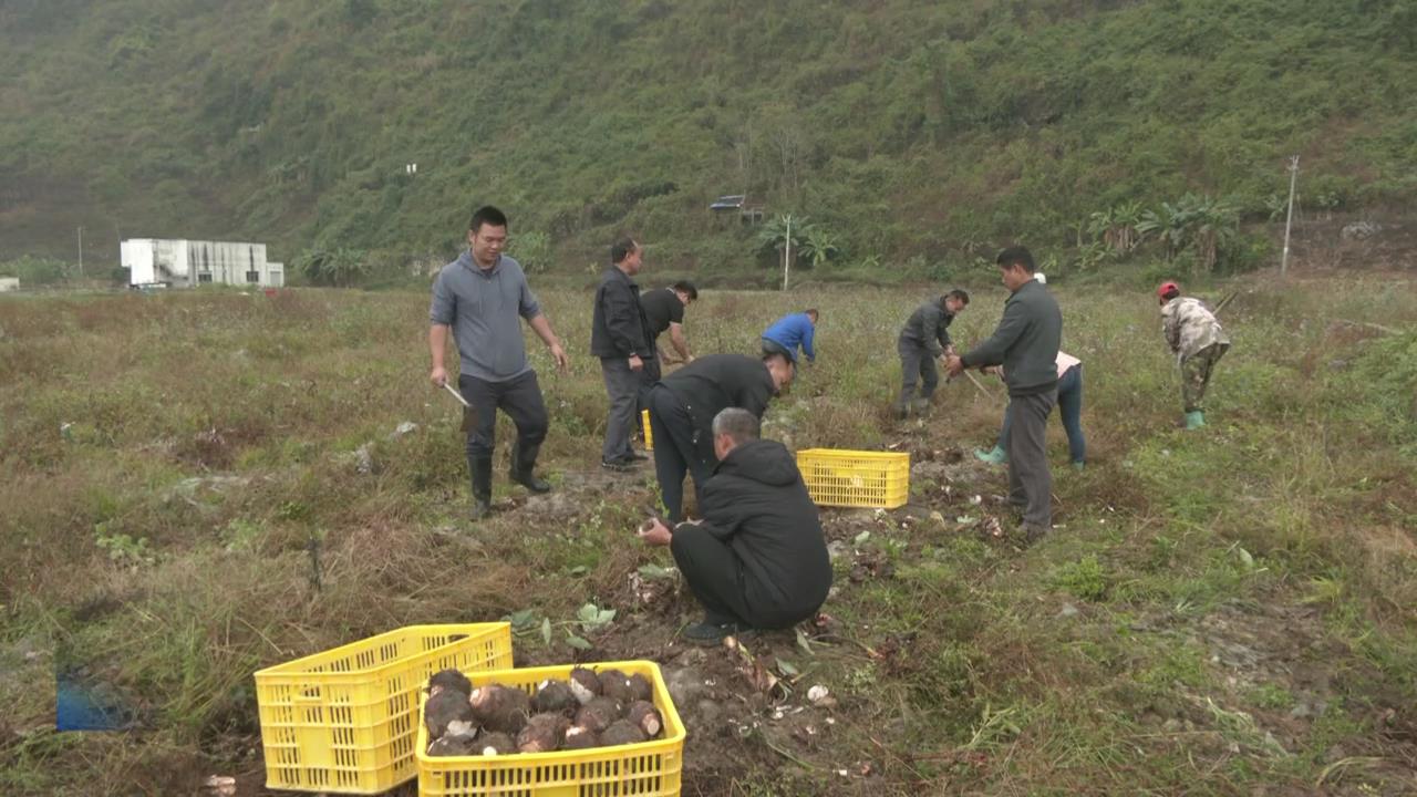 ��룺����ѧϰ��ʮ�����ȳ� ��ũ��ũ�ƽ��������