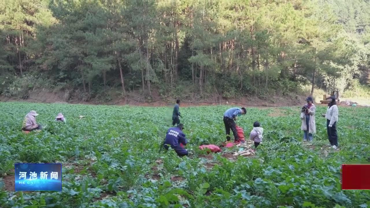 �������ң����߻��ػ���ա�ũ������Ц����