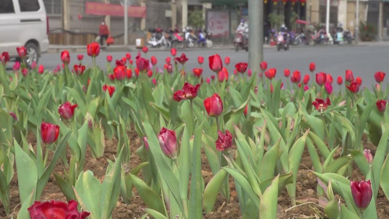 �ʻ���������ζ ������òӭ�´�
