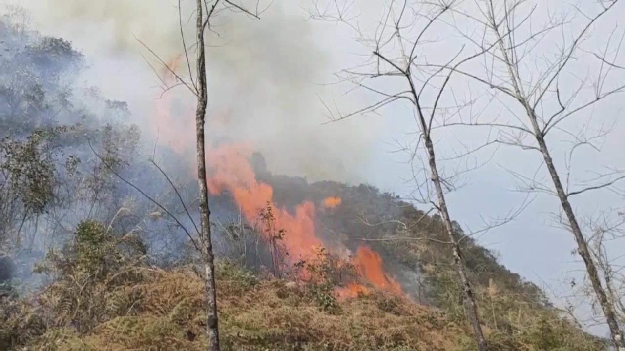 �����û���Ϊ�������� �������˱���������
