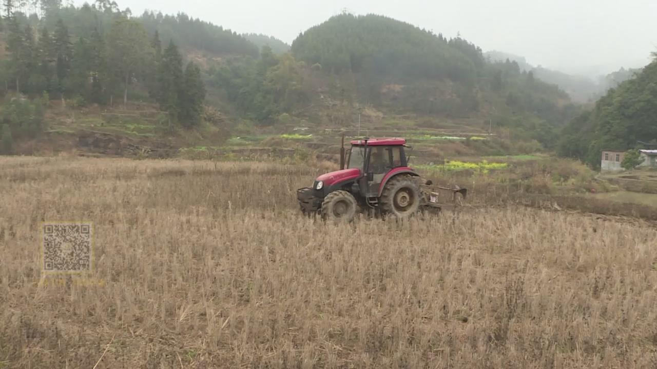 ����ͬ��壺���������� ������ϣ��