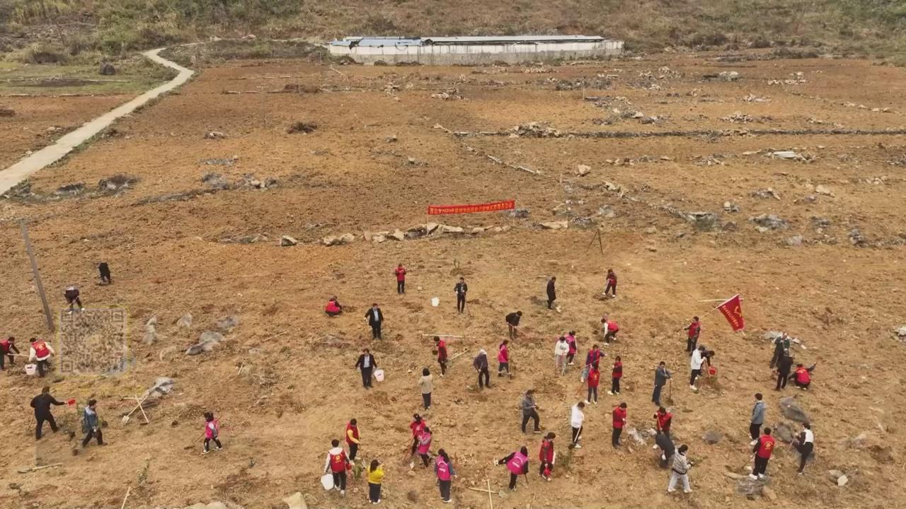����������ר�ҡ���ͷ֧�� ������ɫ��ҵ��չ