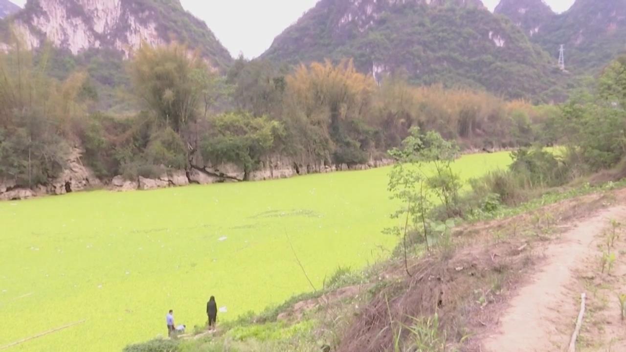 ��Ƽ���Ե��������� ��ʱ��������ͨ