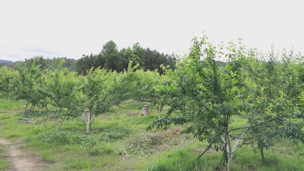 ��������������� ��ũЦ����