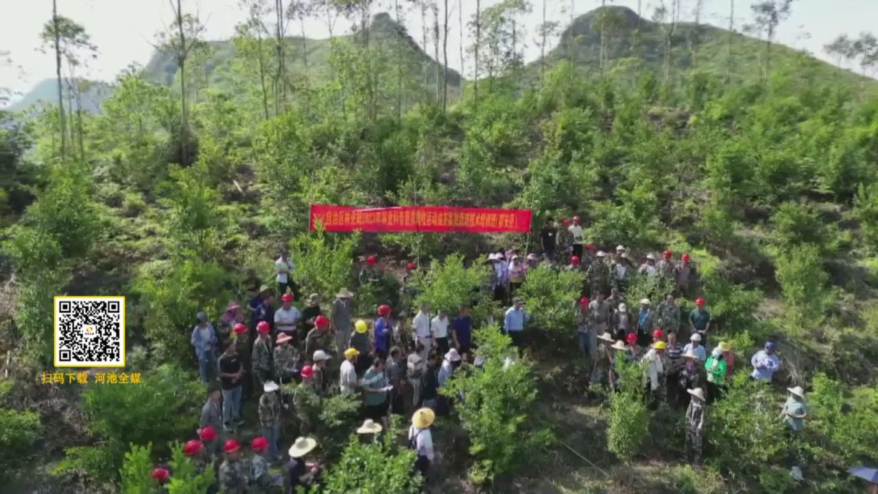����������Ա�͡��������� �����Ͳ跢չ