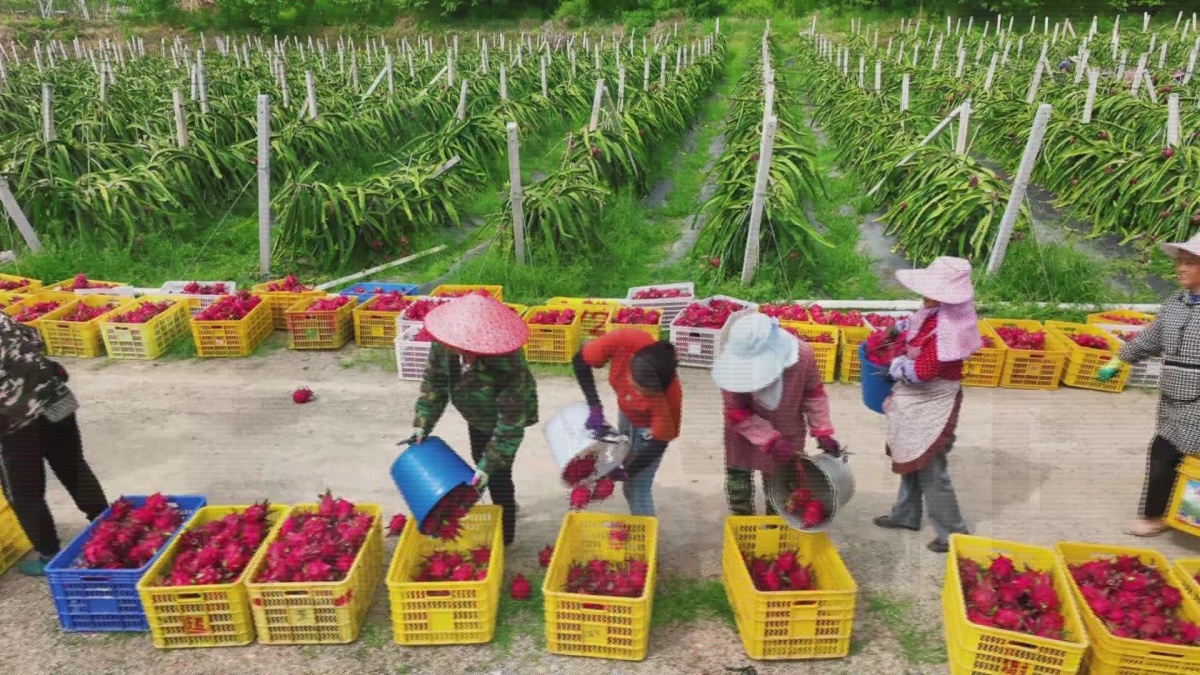 ���ݣ����Ļ���������족���� 