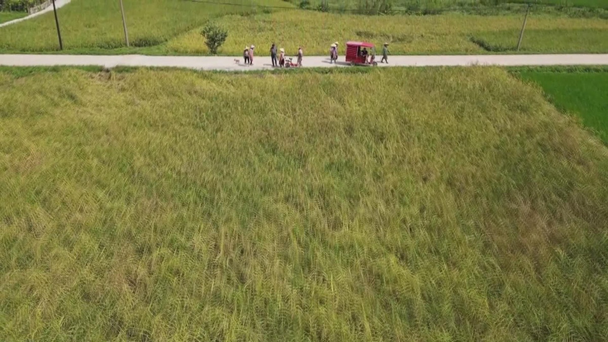 �������߱�׼ũ�����조��������