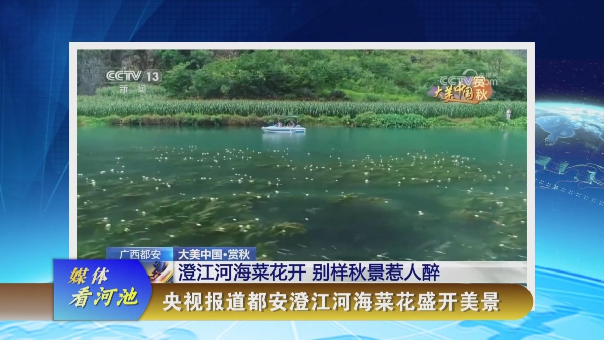 ý�忴�ӳ�