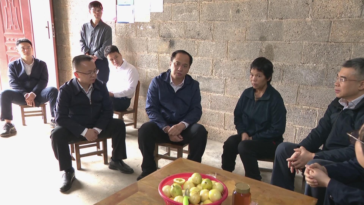 ���Ի����붼����չר�����