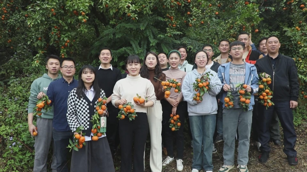 ��룺�Թ�Ϊ��ý�� ��������