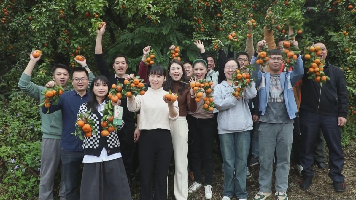 ��룺���Թ�Ϊý ũ���ںϡ� �����������