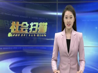 ѵ�����ϡ���ľ���� ��������е���