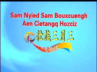�ӳ�����20190327