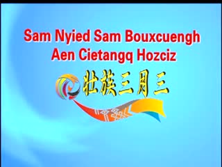 �ӳ�����20190401