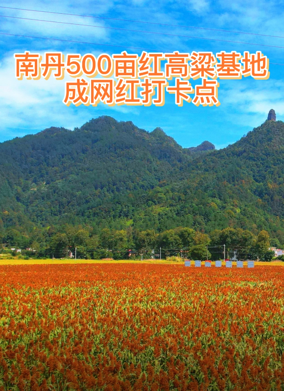 �ϵ�500Ķ��������س�����򿨵�