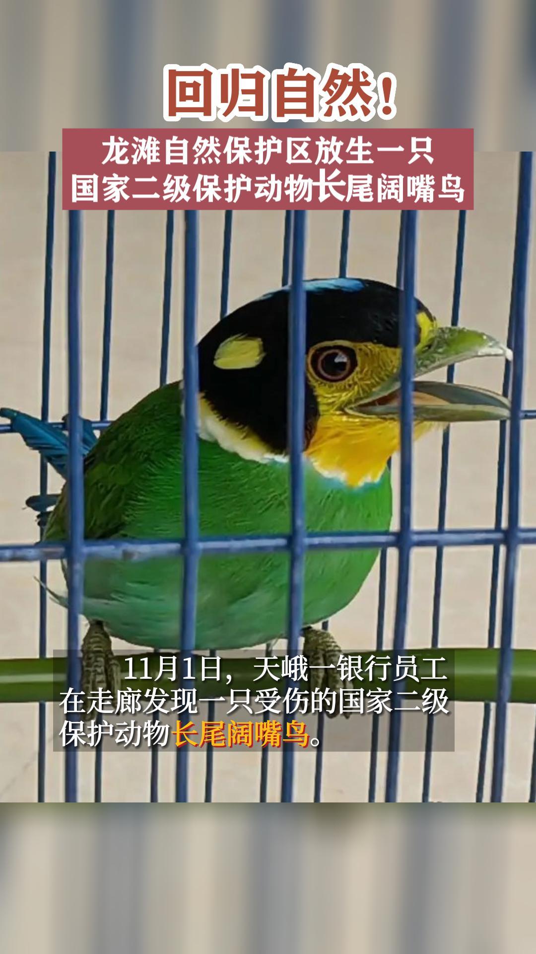 �ع���Ȼ����̲��Ȼ����������һֻ���Ҷ����������ﳤβ������