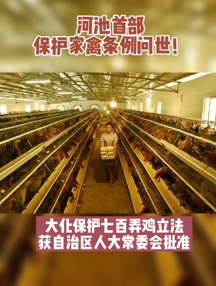 �ӳ��ײ��������������������󻯱����߰�Ū���������������˴�ί����׼