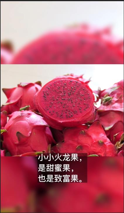 �쿴! ����ġ��¸����������ˣ�