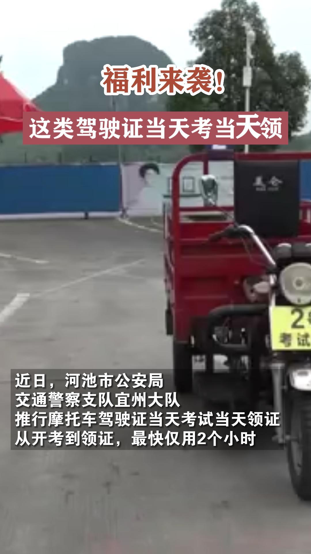 ������Ϯ�������ʻ֤���쿼������