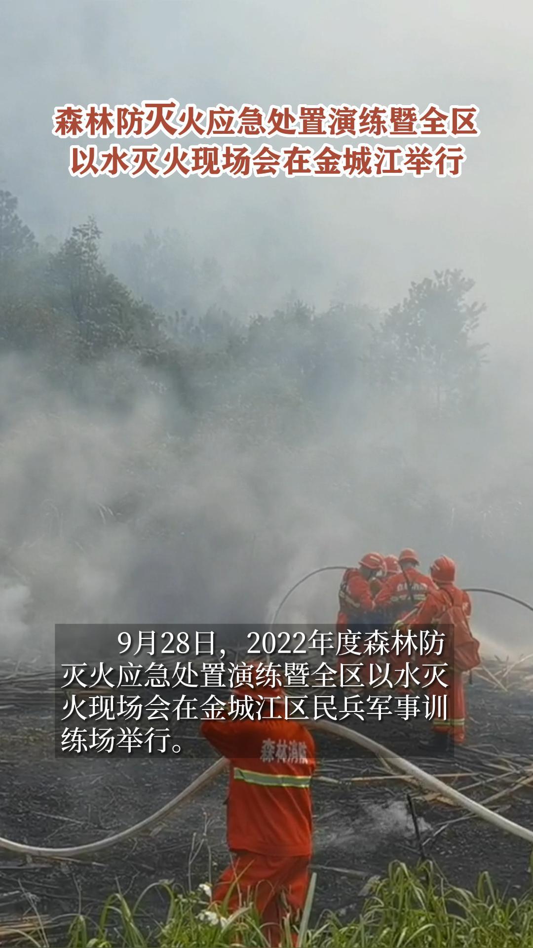 ɭ�ַ����Ӧ������������ȫ����ˮ����ֳ����ڽ�ǽ�����