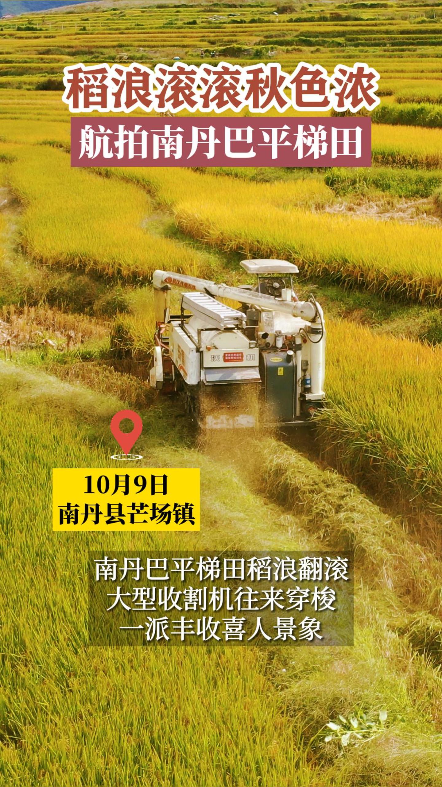���˹�����ɫŨ�������ϵ���ƽ����