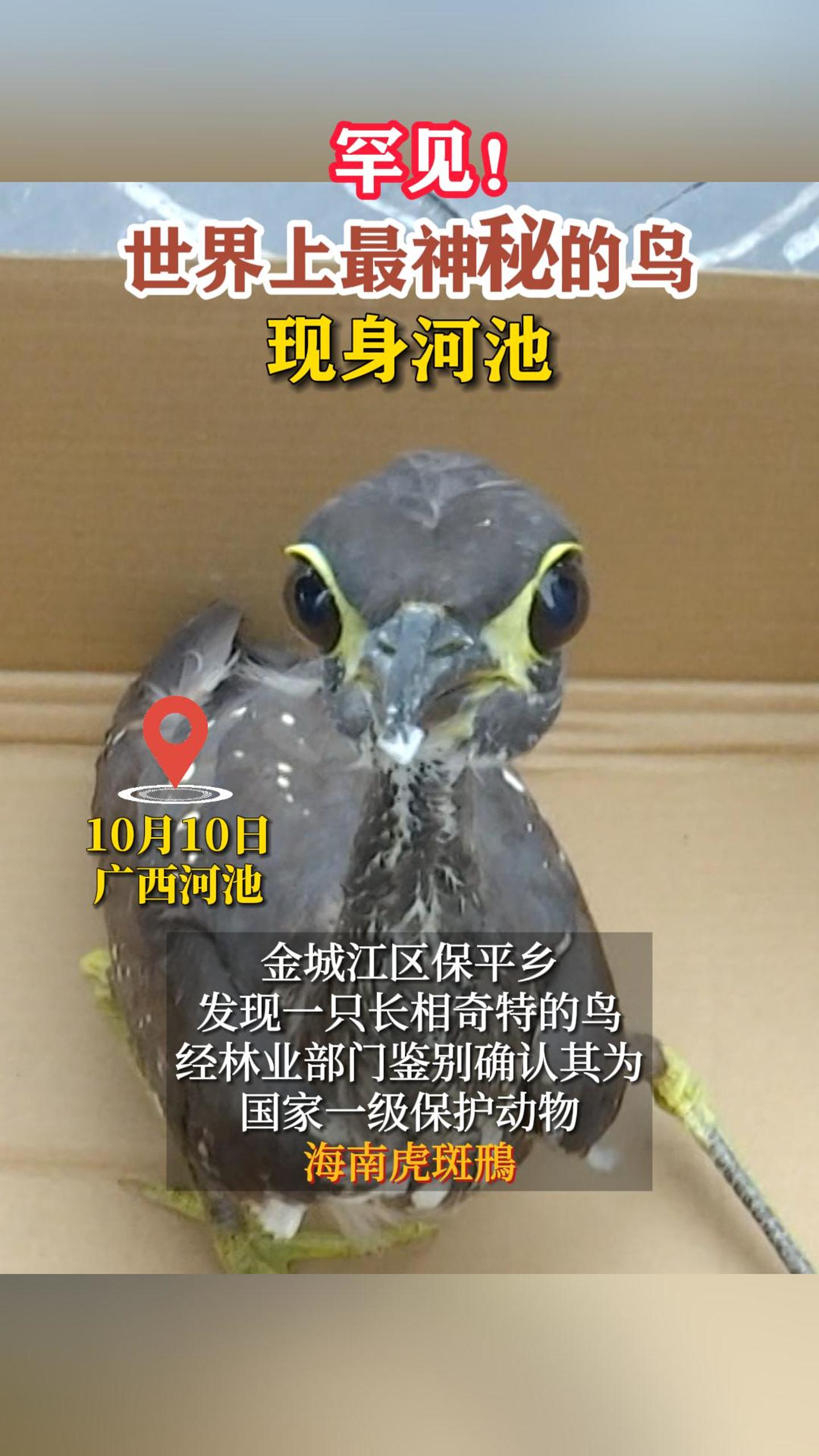 �����������������ص��������ӳ�