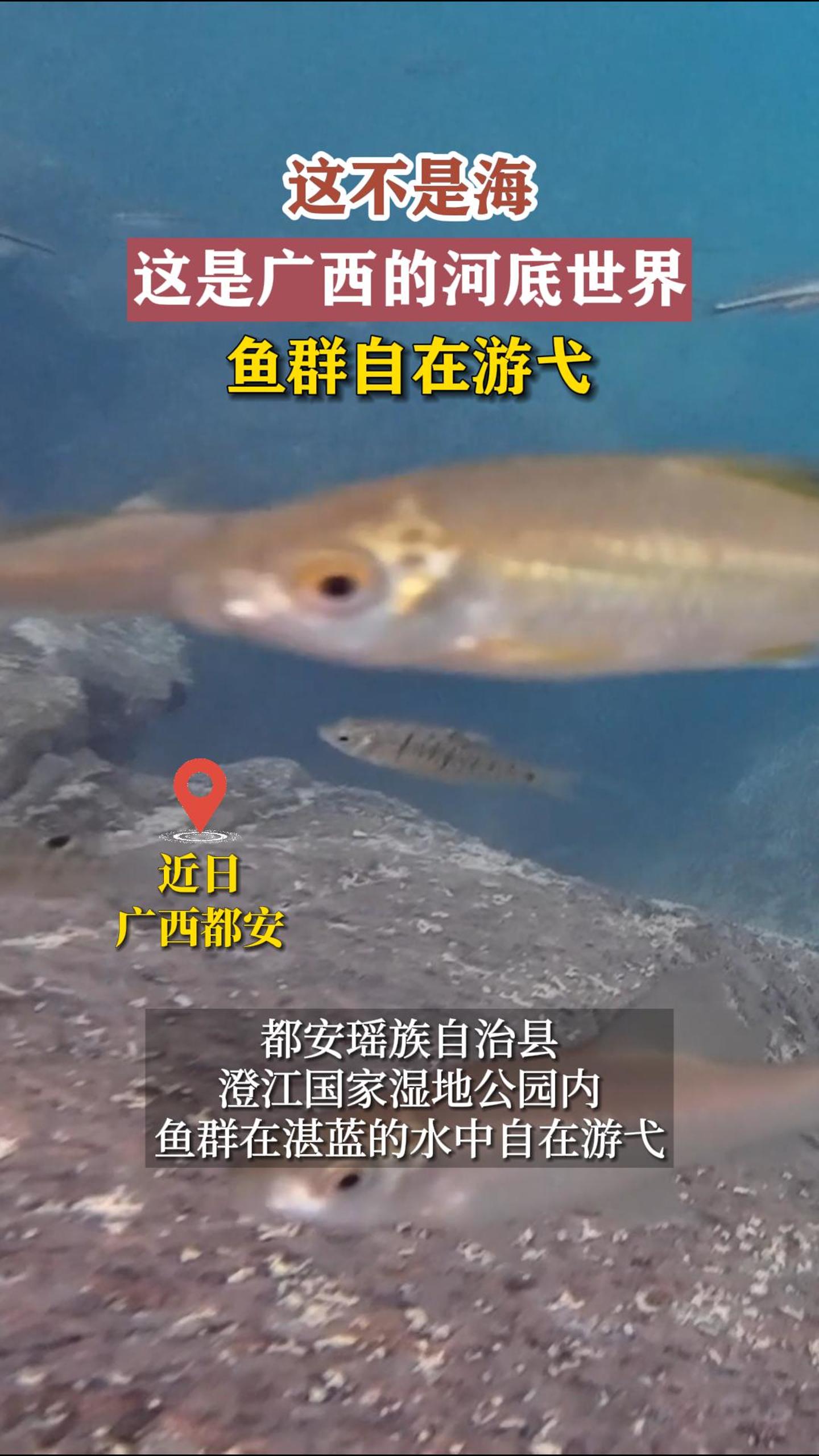 �ⲻ�Ǻ������ǹ����ĺӵ����磬��Ⱥ������߮