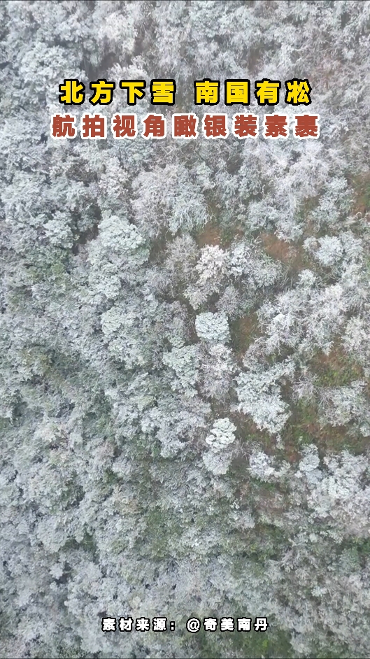 ������ѩ �Ϲ����� �����ӽ����װ�ع�#��ڡ����