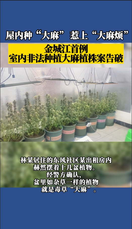 ��ǽ����������ڷǷ���ֲ����ֲ�갸����