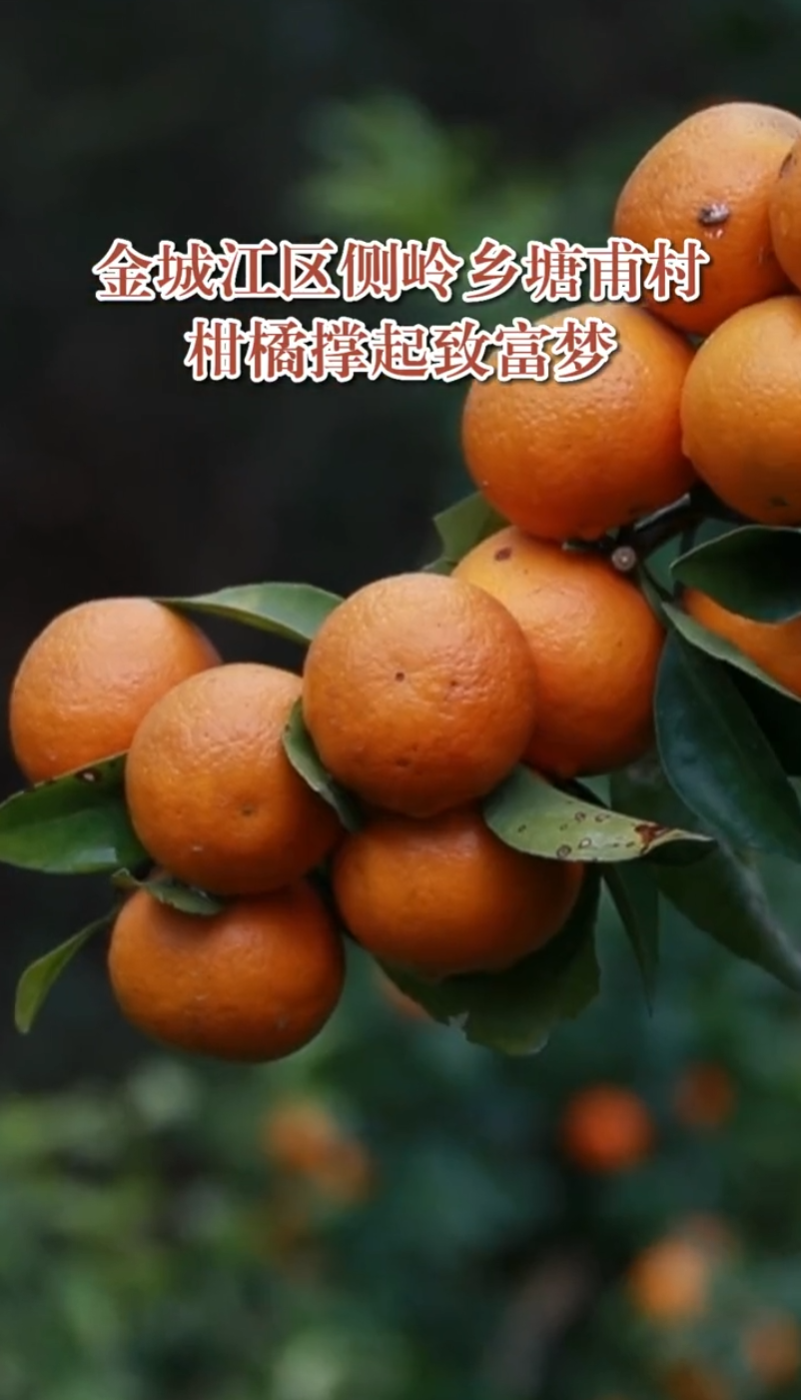 ��ǽ��������������壺���ٳ����¸���
