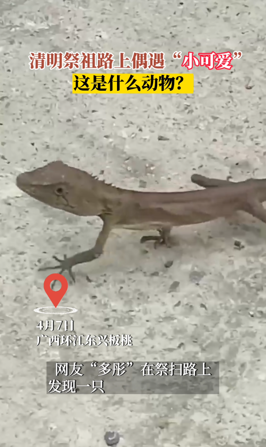 ��������·��ż����С�ɰ���������ʲô���