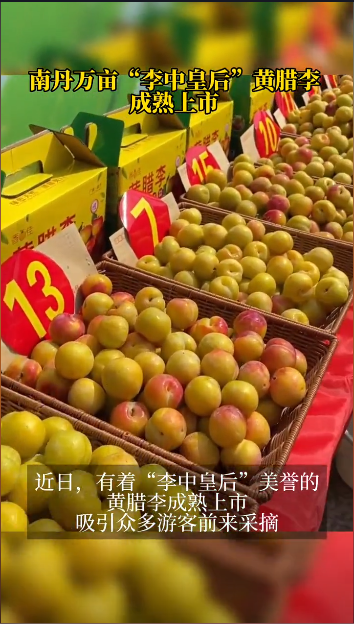 �ϵ���Ķ�����лʺ󡱻������������