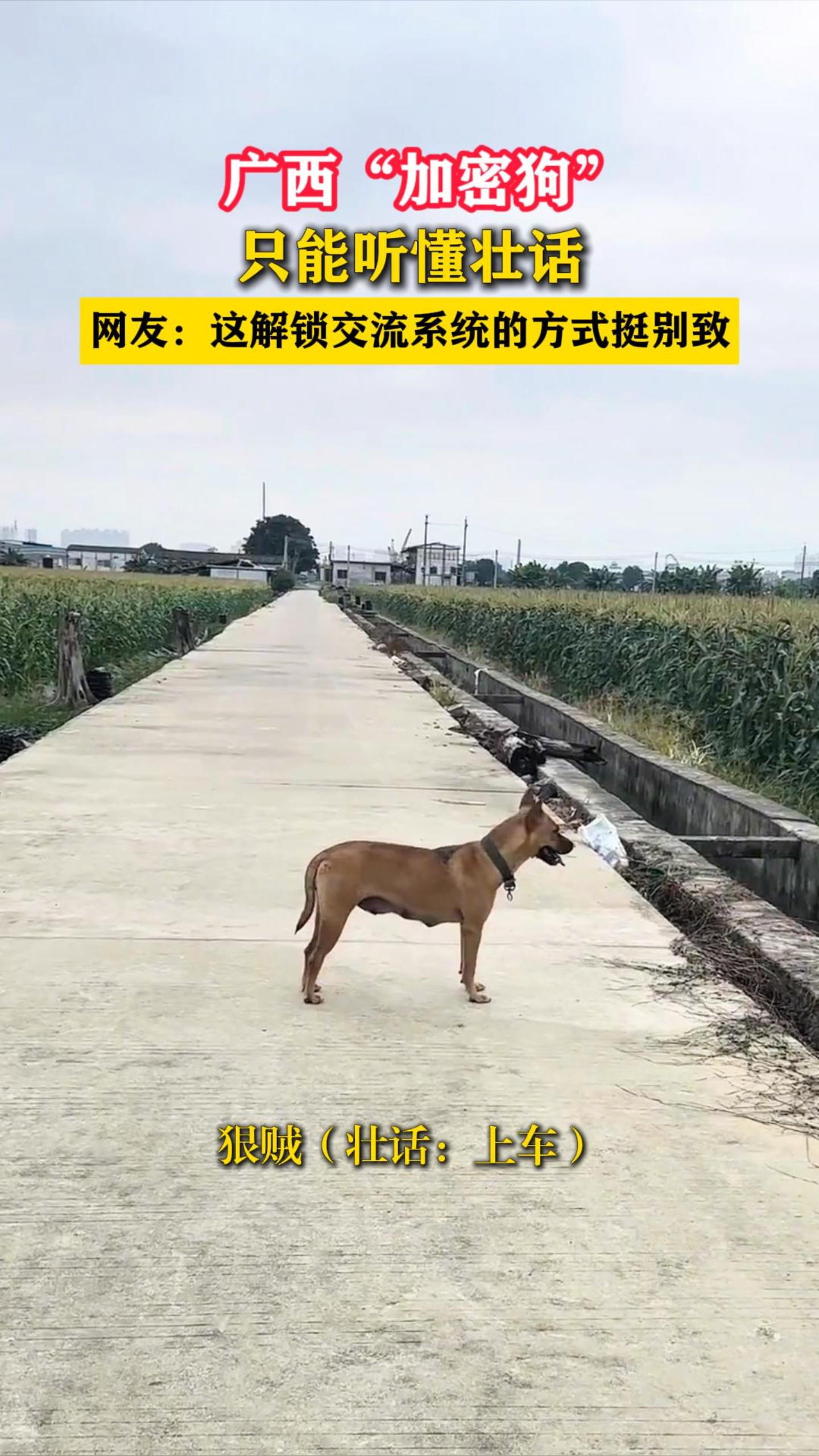 ���������ܹ���ֻ������׳�������ѣ����������ϵͳ�ķ�ʽͦ����