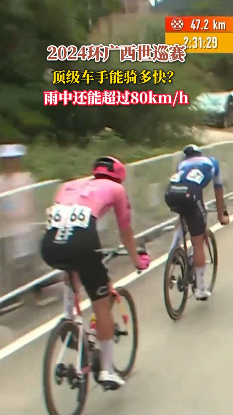 2024��������Ѳ���������������죿���л��ܳ���80km/h