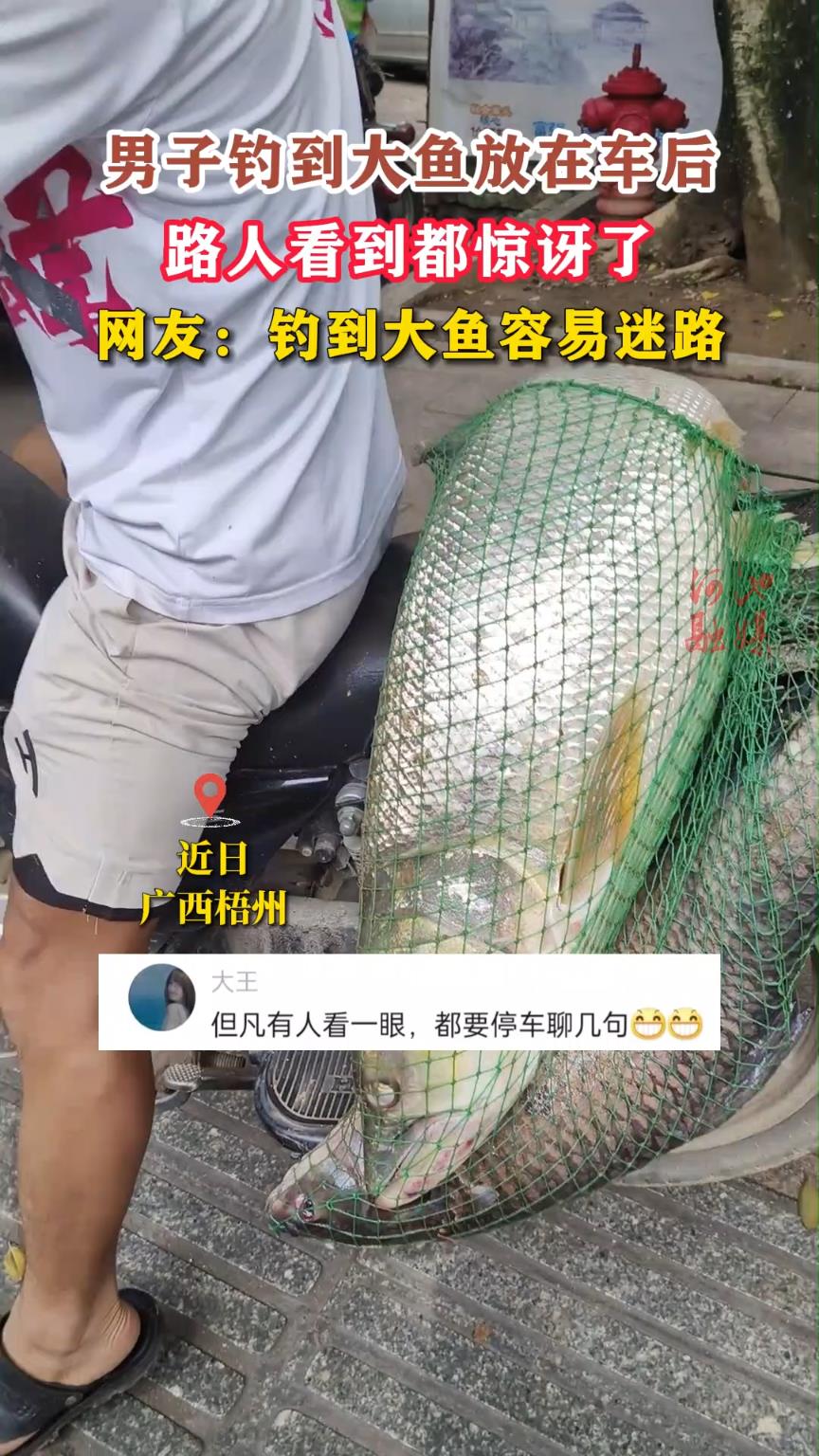 ���ӵ���������ڳ���·�˿����������ˡ����ѣ���������������·