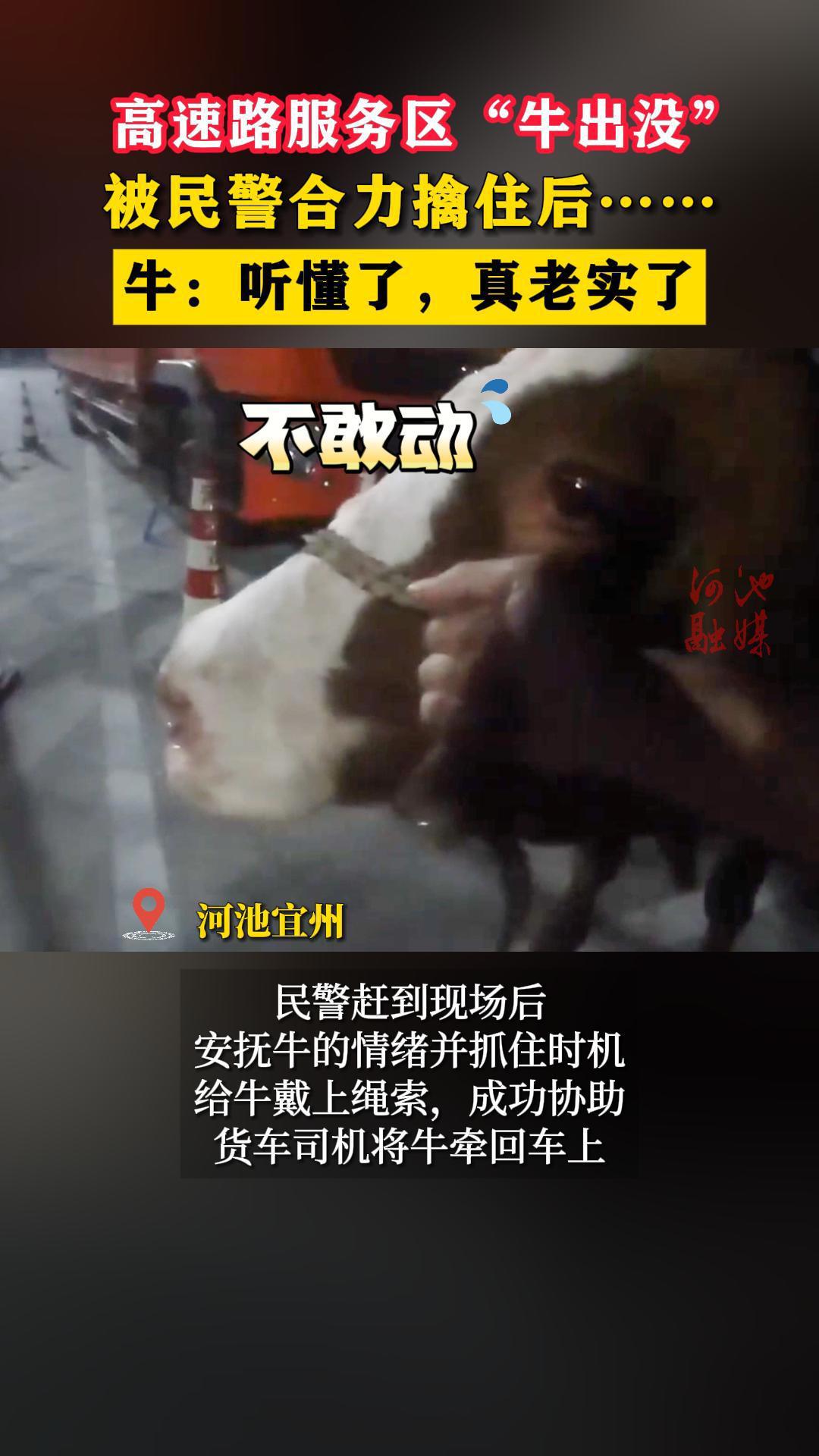 ����·��������ţ��û�������񾯺�����ס�󡭡�ţ�������ˣ�����ʵ��