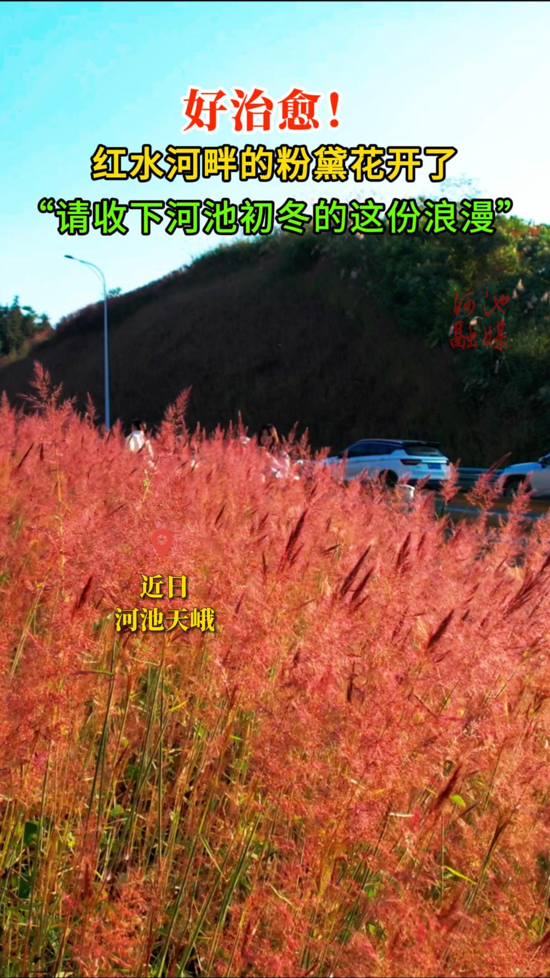 ����������ˮ������Ƭ���컨���ˣ��������ºӳس������������������ͨѶԱ�����������༭��Τ����