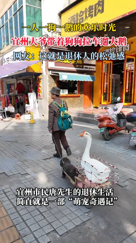 ���ݴ�ү���Ź����������죬��������ʿ���ɳڸ�