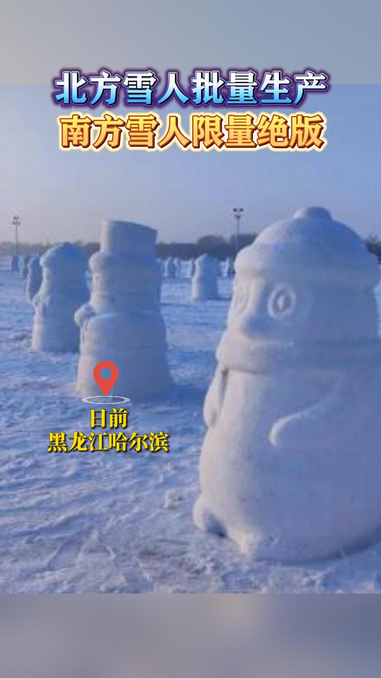 ����ѩ�������������Ϸ�ѩ����������