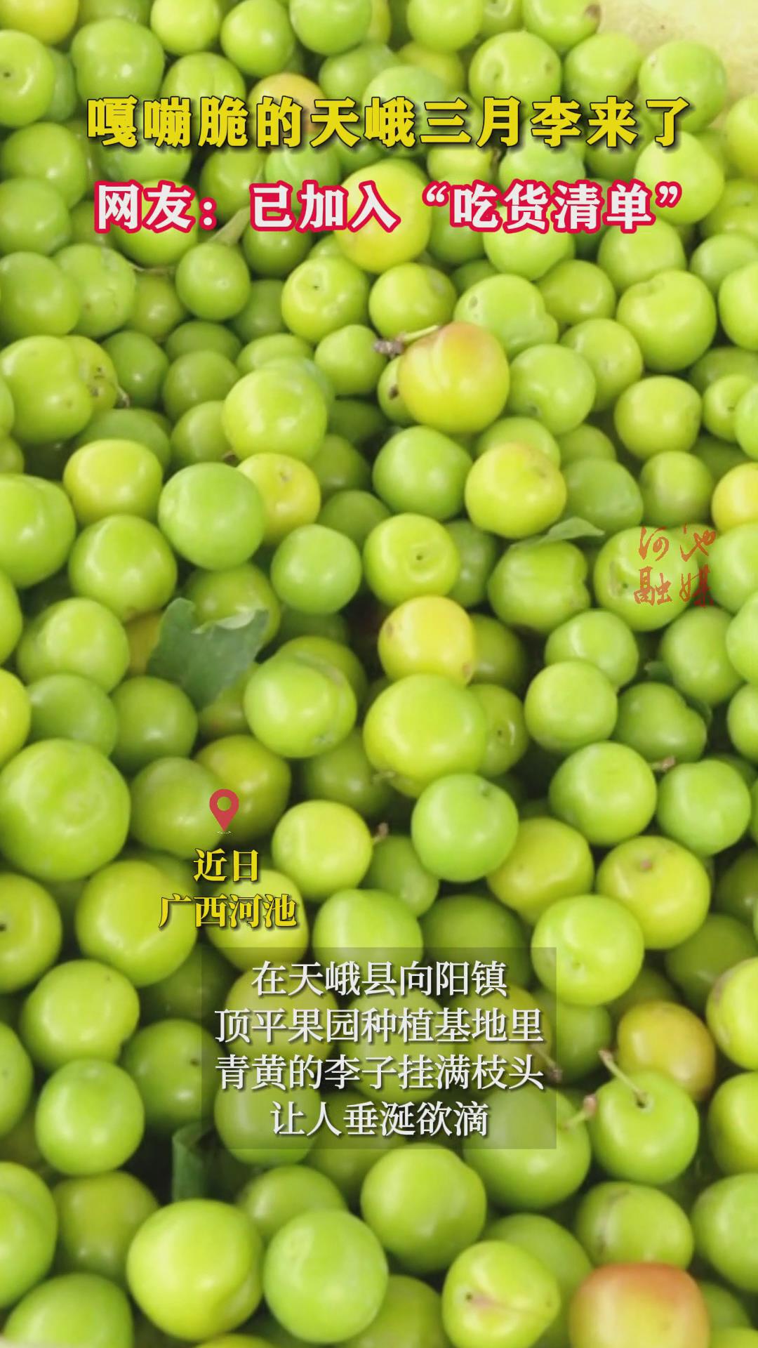 ���Դ��������������ˣ����ѣ��Ѽ��롰�Ի��嵥��