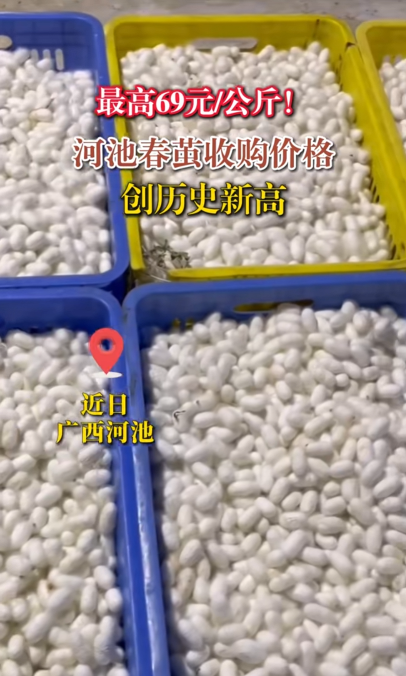 ���69Ԫ/����ӳش����չ��۸���ʷ�¸�