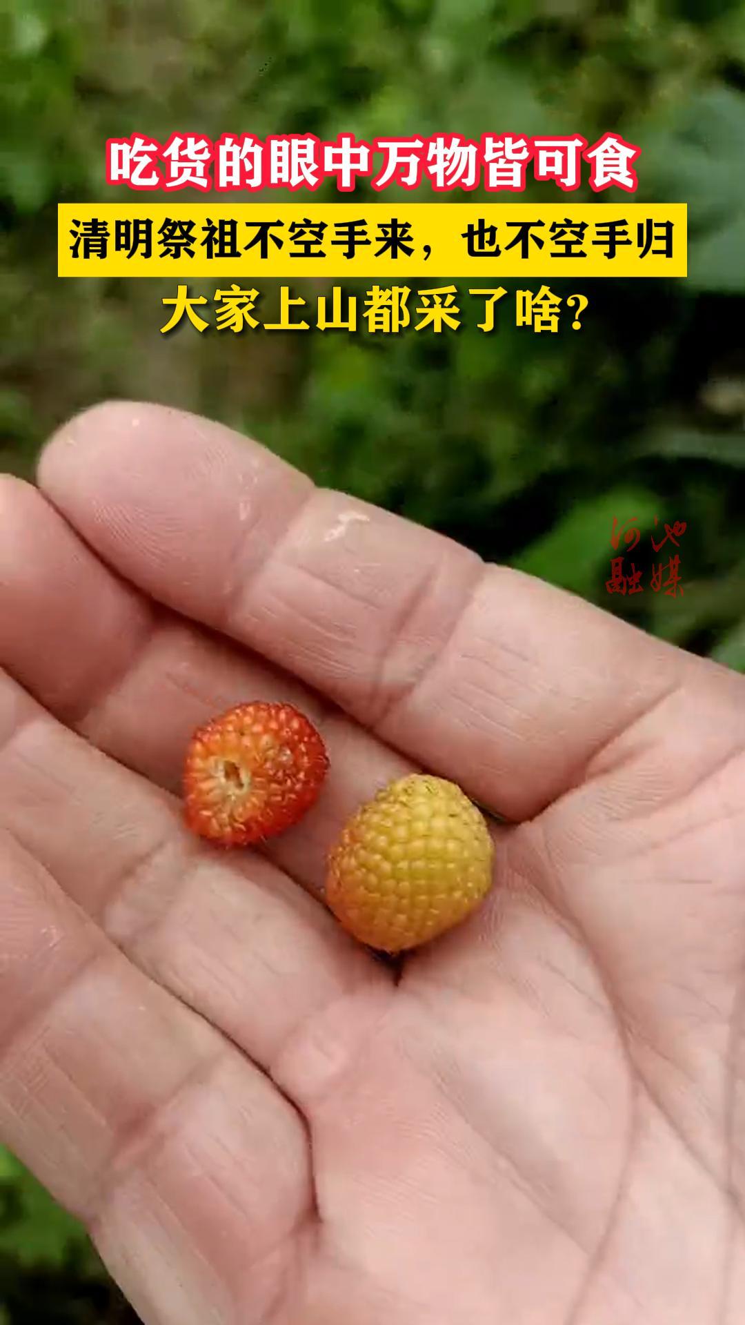 �Ի�����������Կ�ʳ���������治��������Ҳ�����ֹ顣�����ɽ������ɶ��