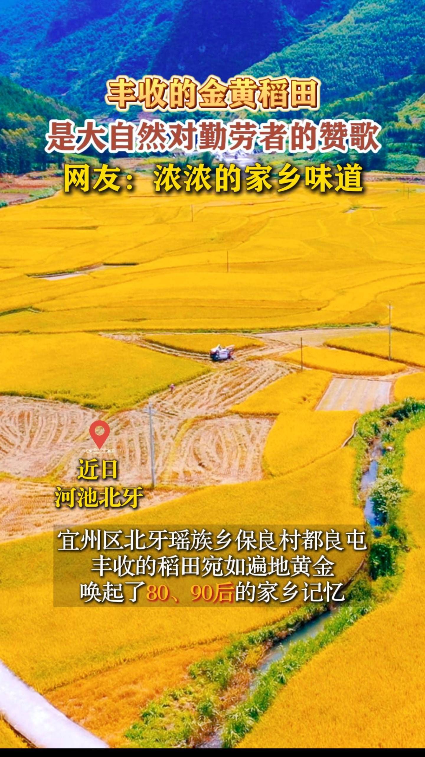 ���յĽ�Ƶ���Ǵ���Ȼ�������ߵ��޸衣���ѣ�ŨŨ�ļ���ζ��