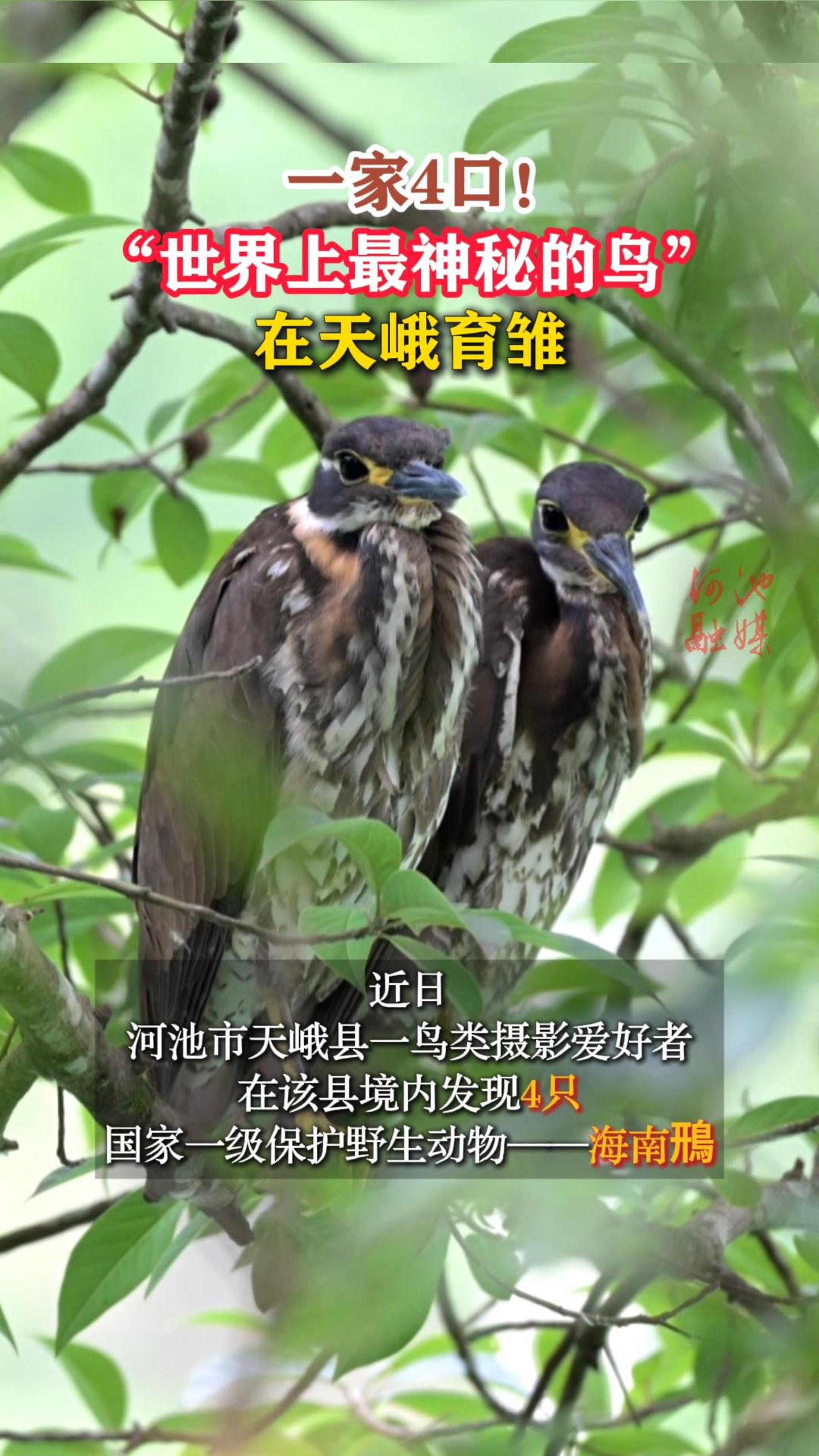 һ��4�ڣ��������������ص������������