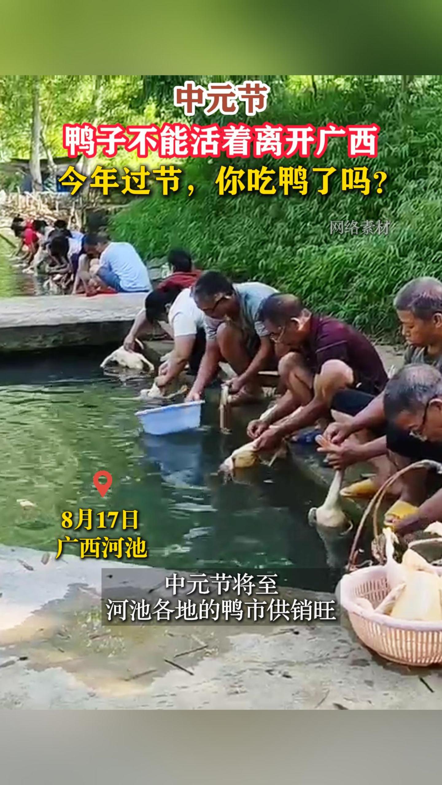 ��Ԫ�ڣ�Ѽ�Ӳ��ܻ����뿪������������ڣ����Ѽ����