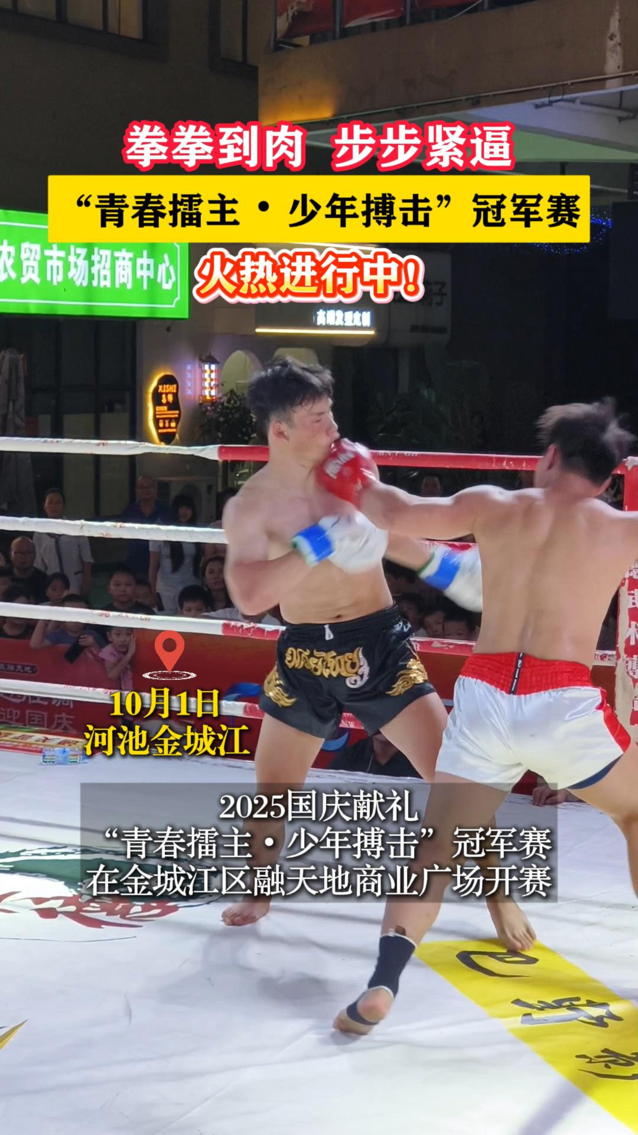 ȭȭ���� �������ƣ����ഺ����?���겫�����ھ������Ƚ����У�