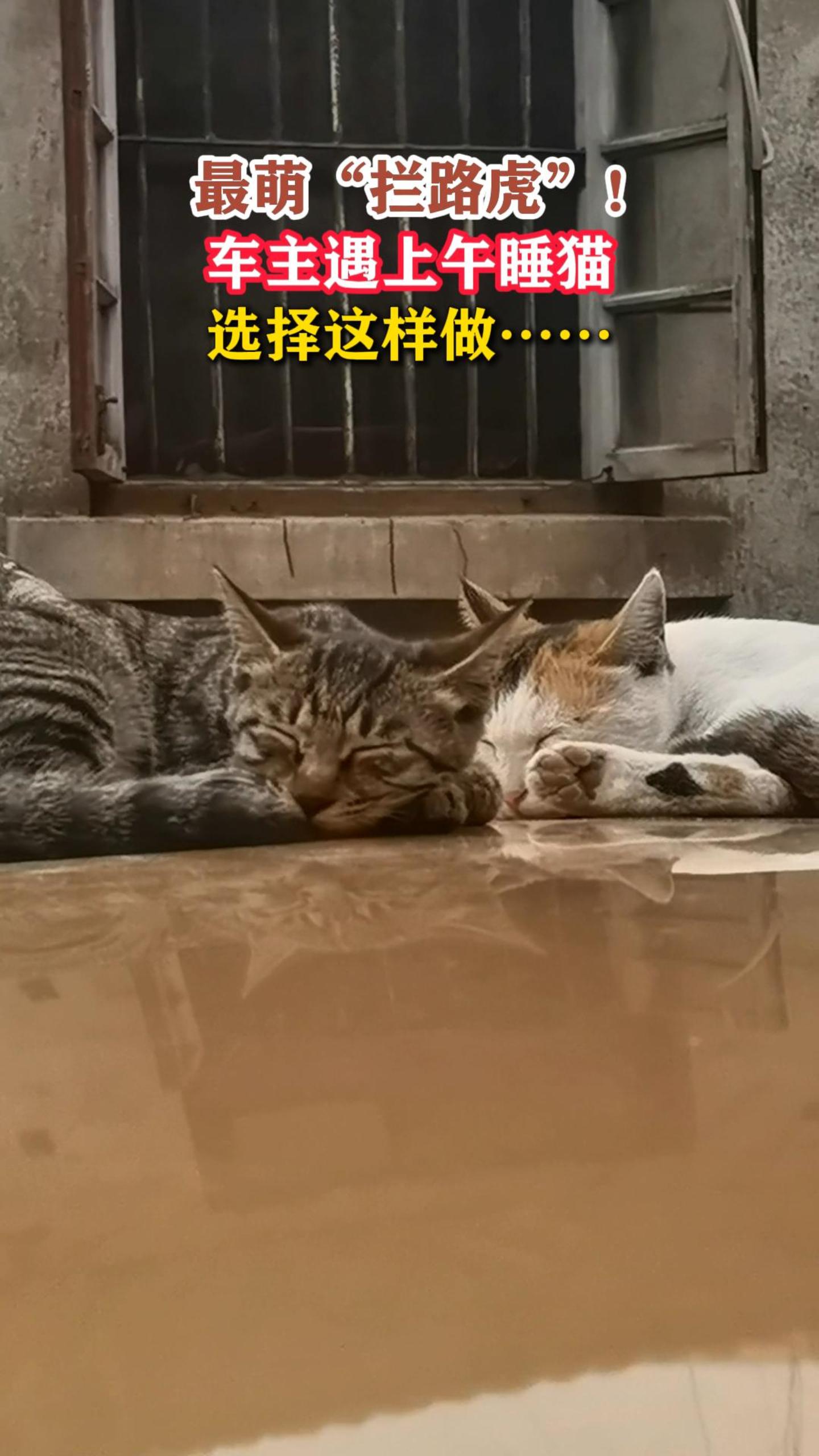 ���ȡ���·����������������˯èѡ������������