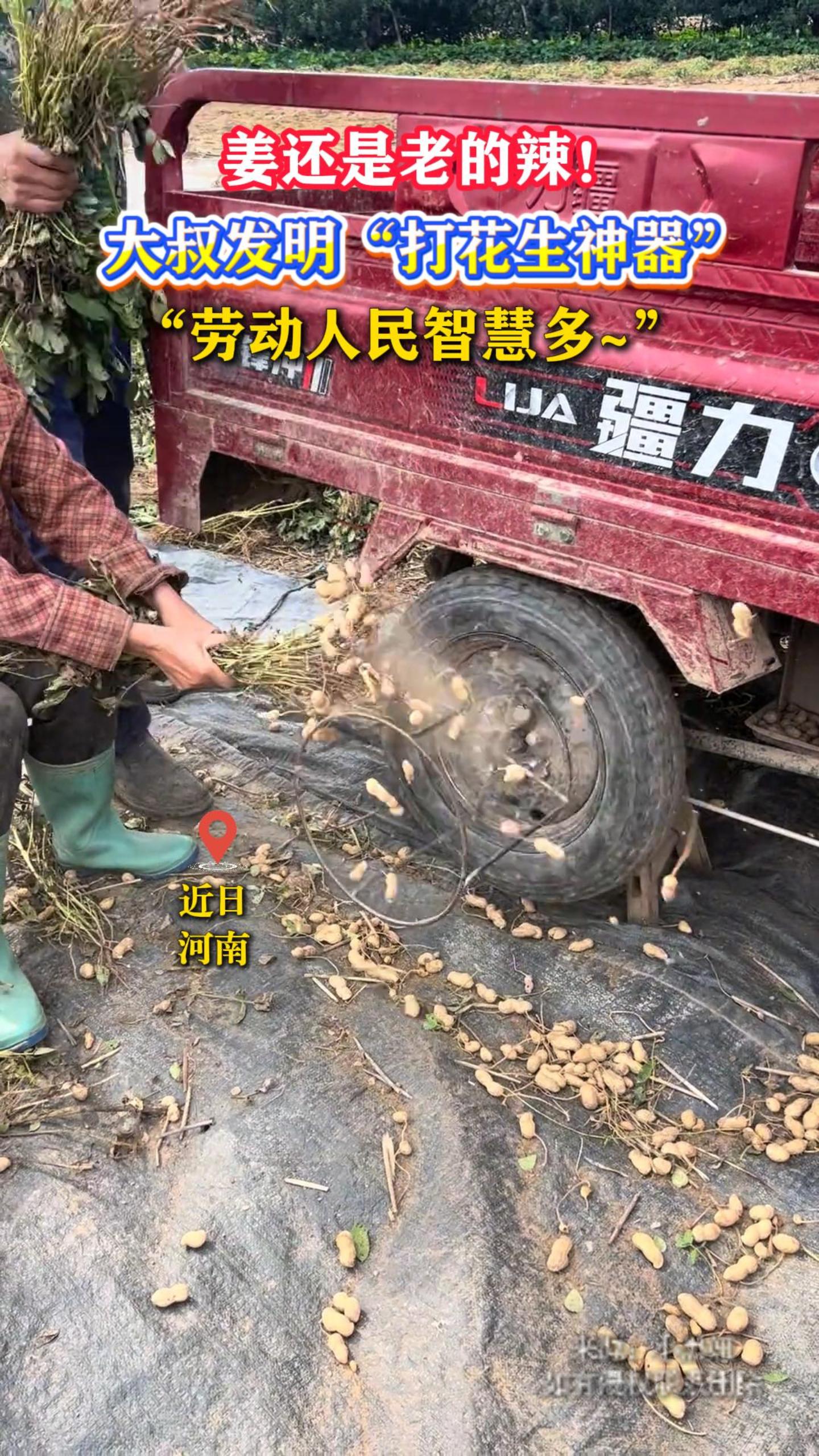 �������ϵ��������巢�������������������Ͷ������ǻ۶�~��