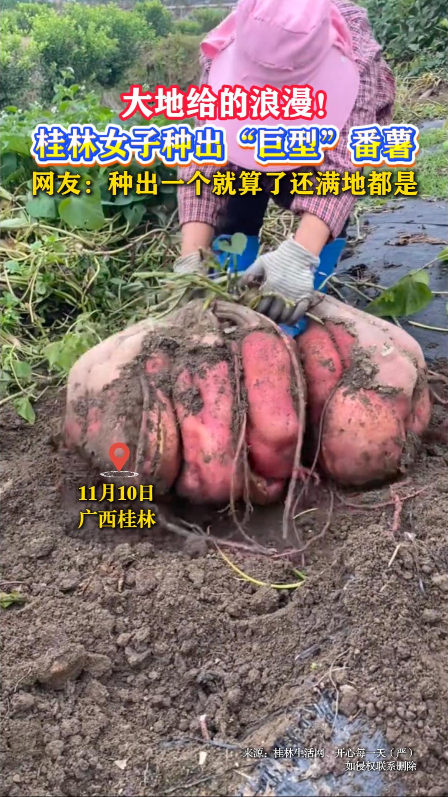 ��ظ�������������Ů���ֳ������͡����������ѣ��ֳ�һ�������˻����ض���